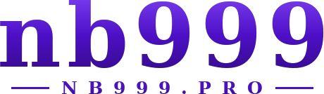 nb999 logo
